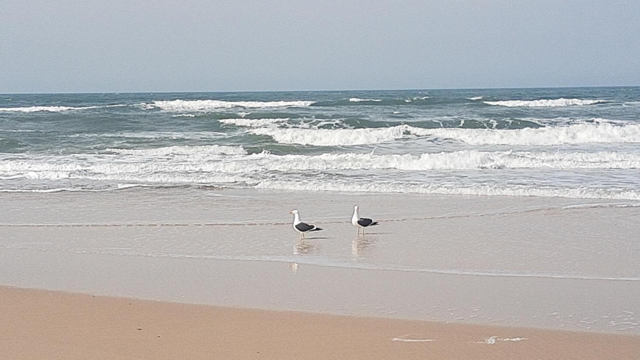 Pousada Gopak Praia do Rosa Bagian luar foto